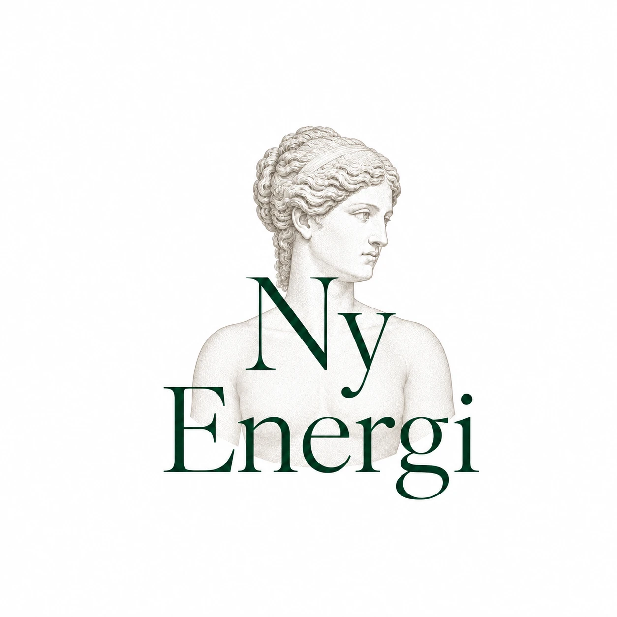Ny Energi